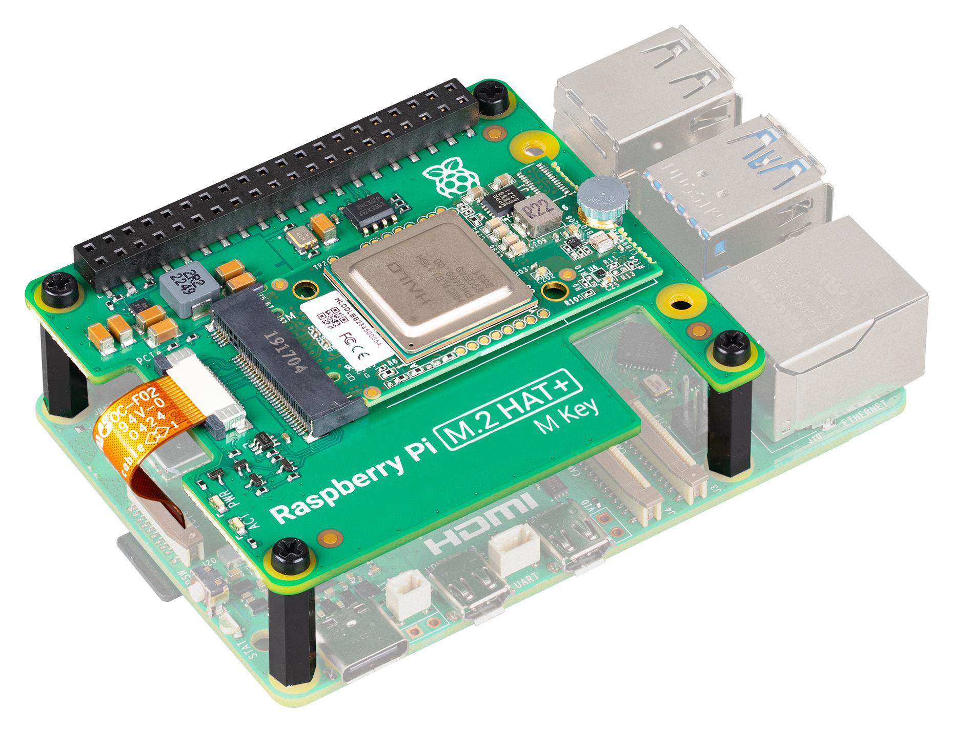 RASPBERRY-PI